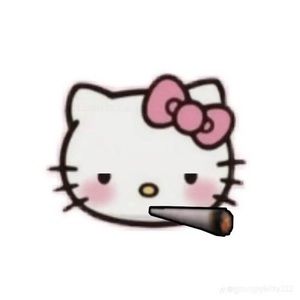 Meet your Posher, Dustin